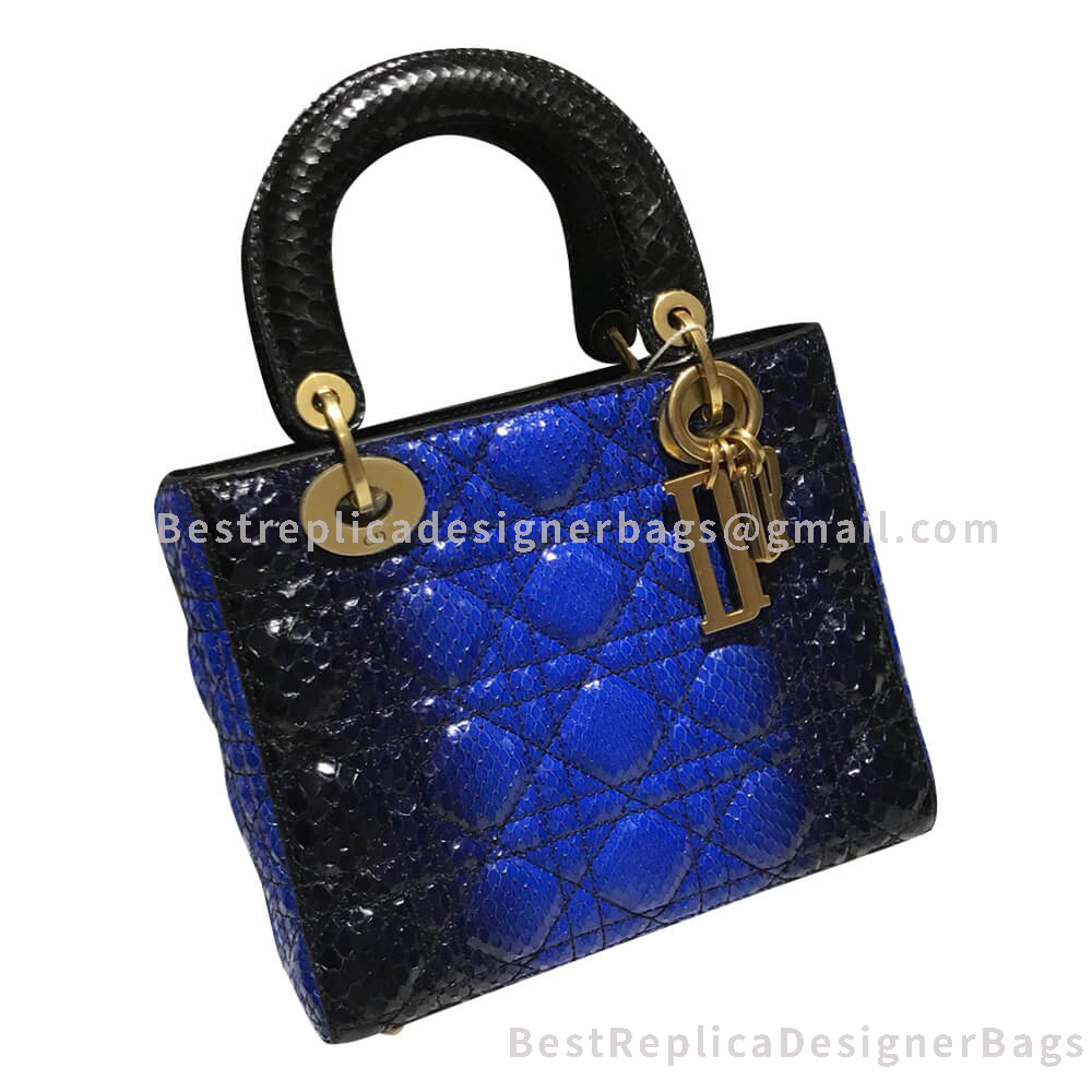 Dior Lady Dior Python Bag Black And Blue GHW